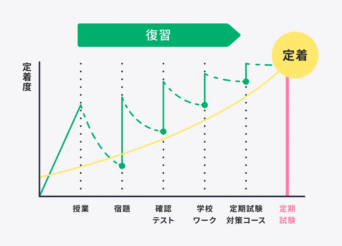 グラフ:忘却曲線とコノ塾の授業スケジュール